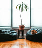 Black Beanbag
