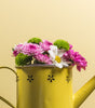 Yellow watering can