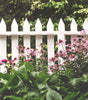 Wooden Fence