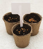 Biodegradable cardboard pots